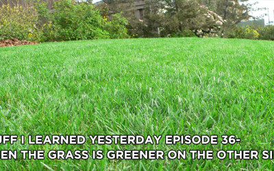 36- When the Grass is Greener on the Other Side