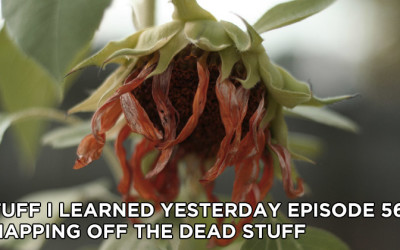56- Snapping Off the Dead Stuff