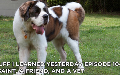 104- A Saint, a Friend, and a Vet
