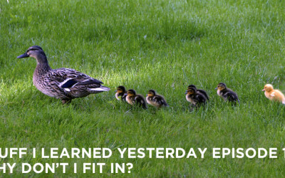 137- Why Don’t I Fit In?