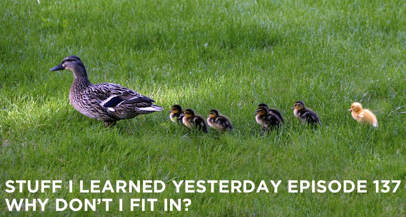 137- Why Don’t I Fit In?