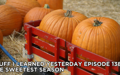 138- The Sweetest Season