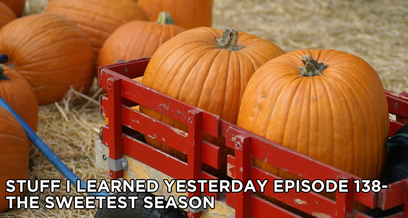 138- The Sweetest Season