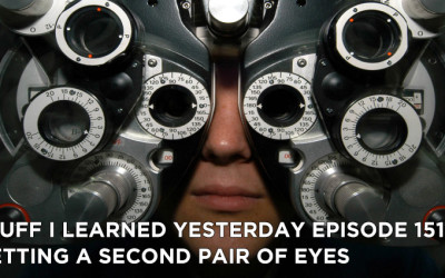 151- Getting a Second Pair of Eyes