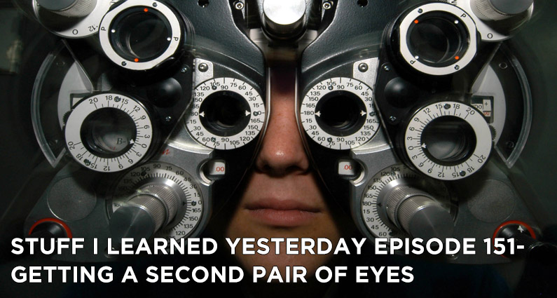 151- Getting a Second Pair of Eyes
