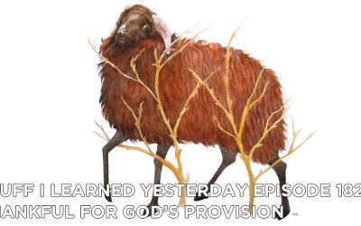 182- Thankful For God’s Provision