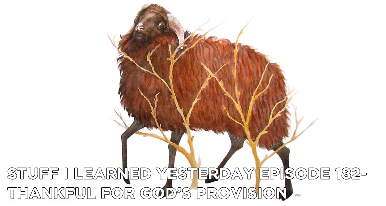 182- Thankful For God’s Provision