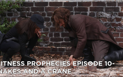 WP10 – S2E10 – Snakes on a Crane