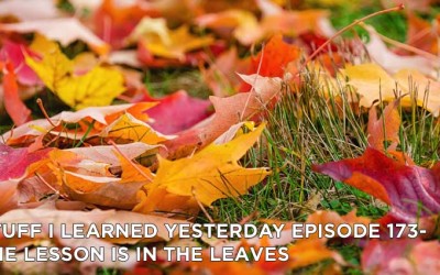 173- The Lesson Is In The Leaves