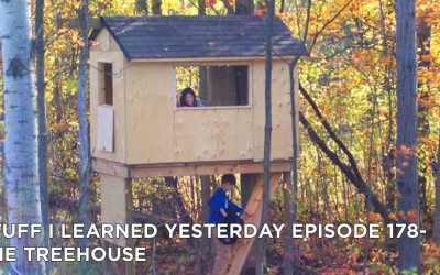 178- The Treehouse