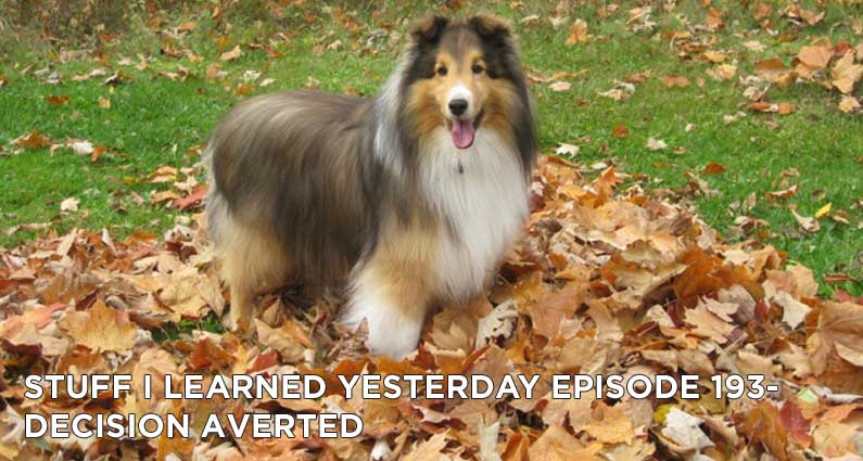 Stuff I Learned Yesterday episode 193 Decision Averted