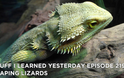 219- Leaping Lizards