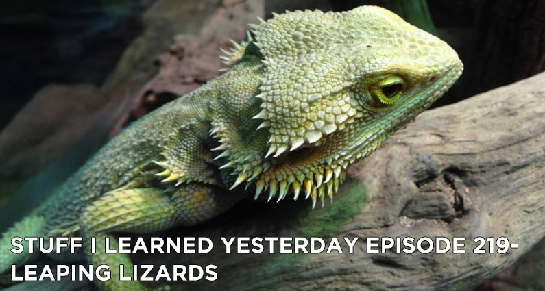 Leaping Lizards