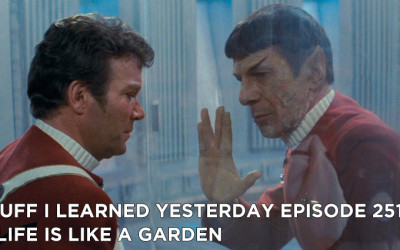 251- A Life is Like a Garden