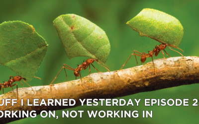 254- Working On, Not Working In
