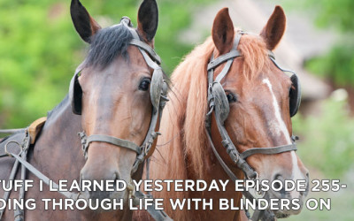 255- Going Through Life With Blinders On