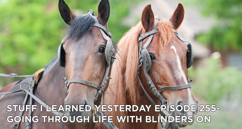 255- Going Through Life With Blinders On