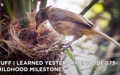 273- Childhood Milestones