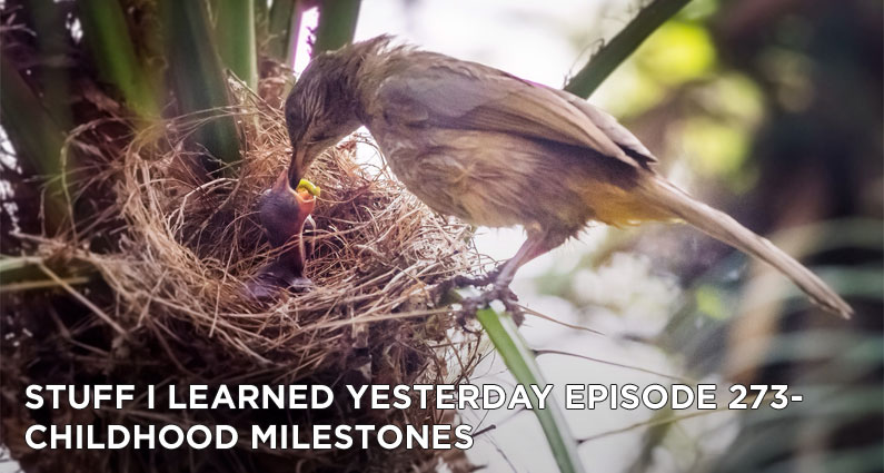 273- Childhood Milestones