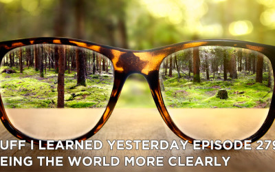 279- Seeing the World More Clearly
