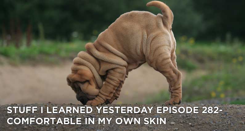 Comfortable in my own skin