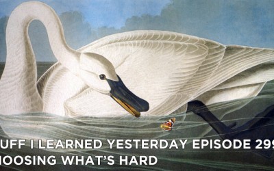 299- Choosing What’s Hard