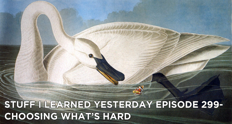 Choosing What's Hard