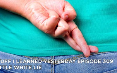 309- Little White Lie