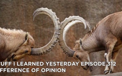 312- Difference Of Opinion