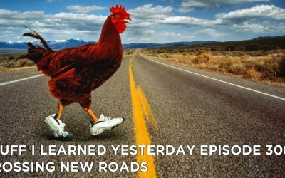 308- Crossing New Roads