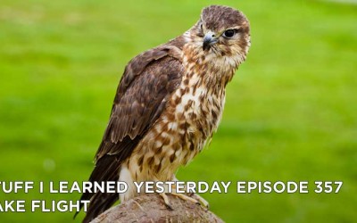 357- Take Flight