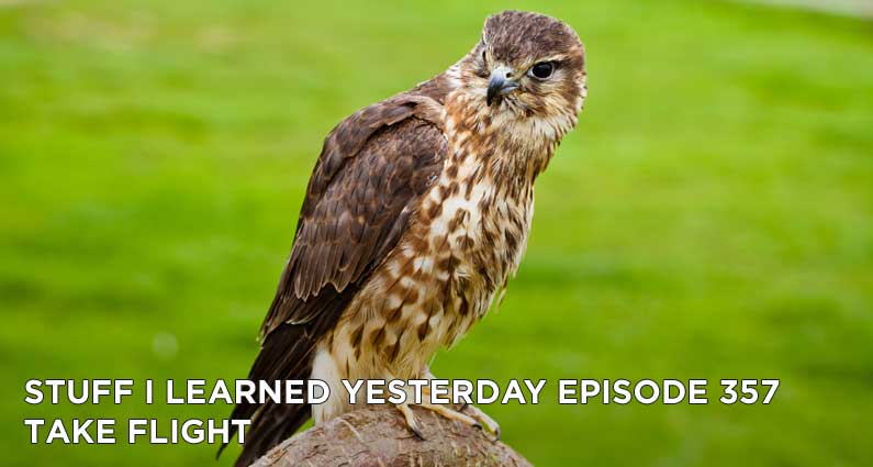 357- Take Flight
