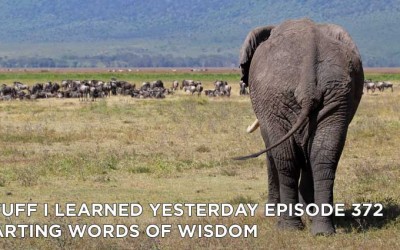 372- Parting Words of Wisdom