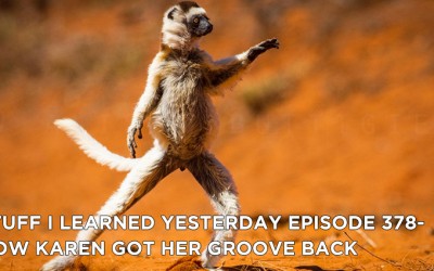 378- How Karen Got Her Groove Back