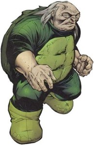 Turtle_(DC)