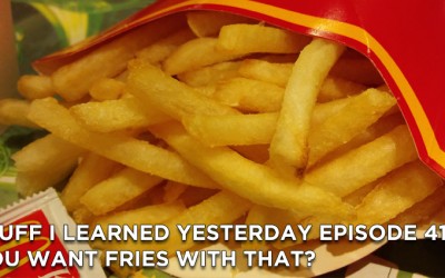 413- You Want Fries with That?