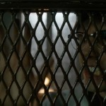 GU44 Trading Places - Ed