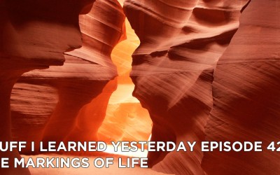 428- The Markings of Life