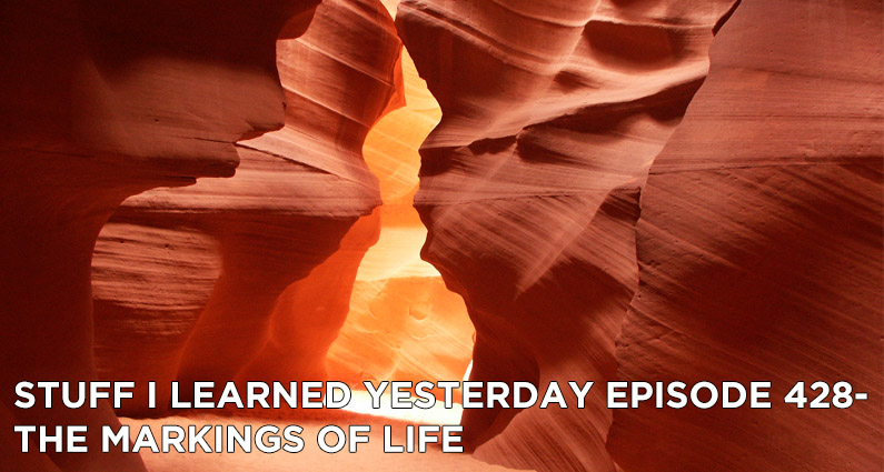 The Markings of Life