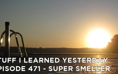 471- Super Smeller