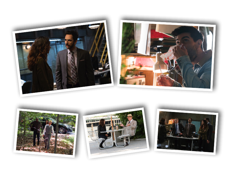 Gaia Collage