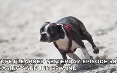 503- Chasing Sand in the Wind