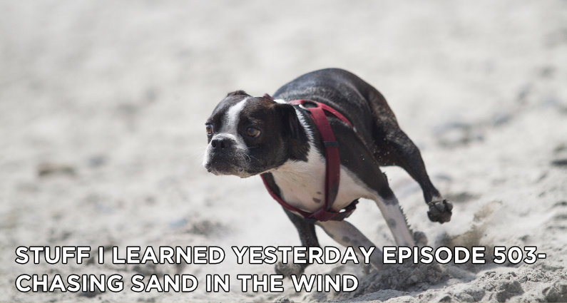 503- Chasing Sand in the Wind