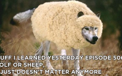 506- Wolf or Sheep, It Just Doesn’t Matter Anymore