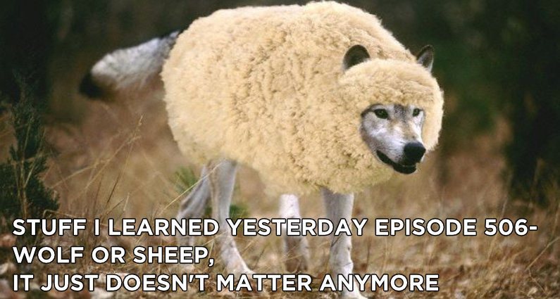 506- Wolf or Sheep, It Just Doesn’t Matter Anymore