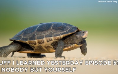 516- Be Nobody But Yourself