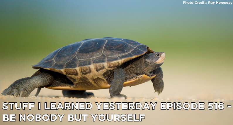 516- Be Nobody But Yourself