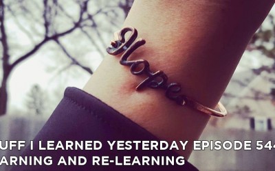 544- Learning and Re-Learning