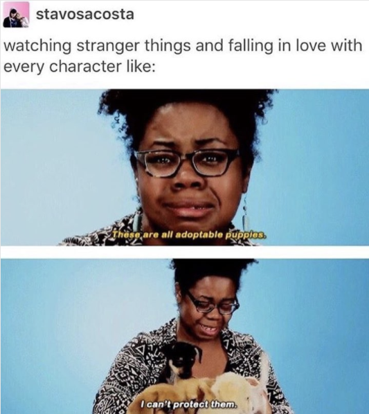 adoptable puppies stranger things meme