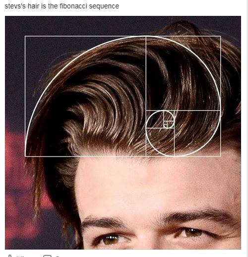 Golden Spiral Steve Harrington Hair